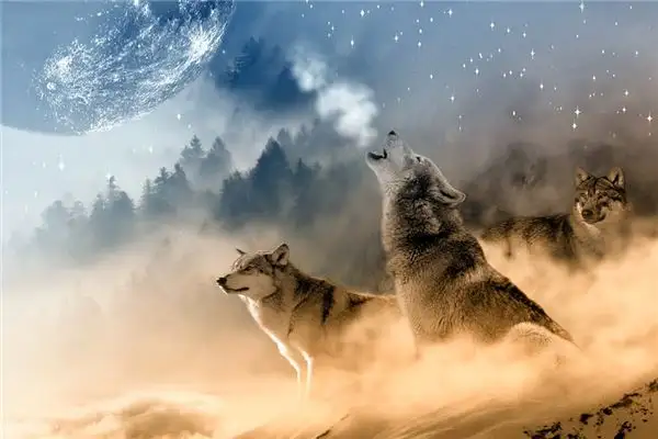 Dream Interpretation of Seeing Wolves Nuvoradream - DreamDecode-DreamDecode