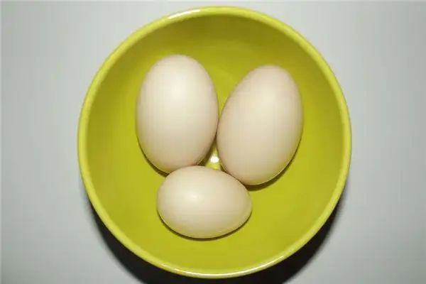 Dream of Duck Eggs Meaning - NuvoraDream - DreamDecode-DreamDecode