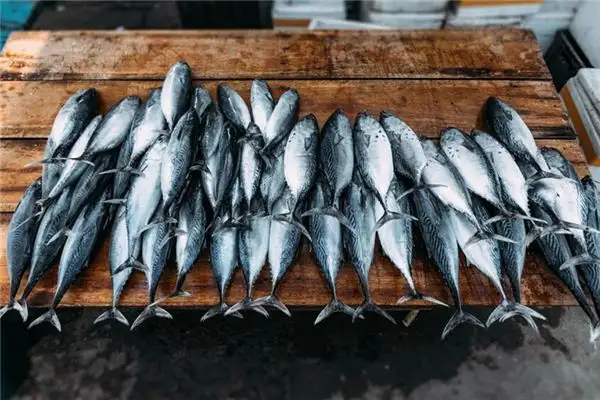 Dream of Dead Fish Meaning and Interpretation - NuvoraDream