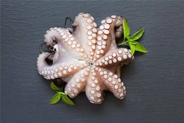 Dreaming of Octopus Meaning and Interpretation - NuvoraDream - DreamDecode-DreamDecode