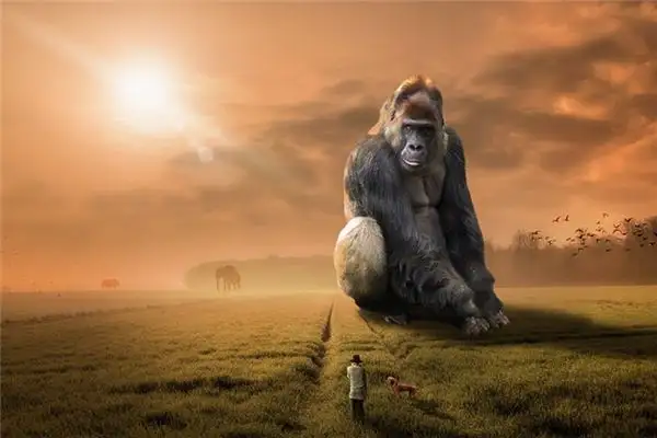 Dreaming of Gorillas Meaning and Interpretation - NuvoraDream - DreamDecode-DreamDecode