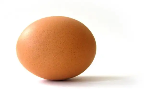 Dream of a Hen Laying Eggs Meaning and Interpretation - NuvoraDream - DreamDecode-DreamDecode
