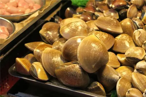 Dream of Clams Meaning - NuvoraDream - DreamDecode-DreamDecode