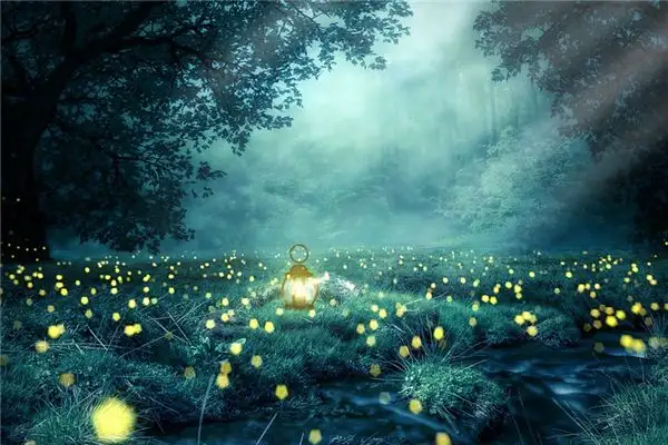 Dream of Fireflies Meaning - NuvoraDream English Dream Interpretation