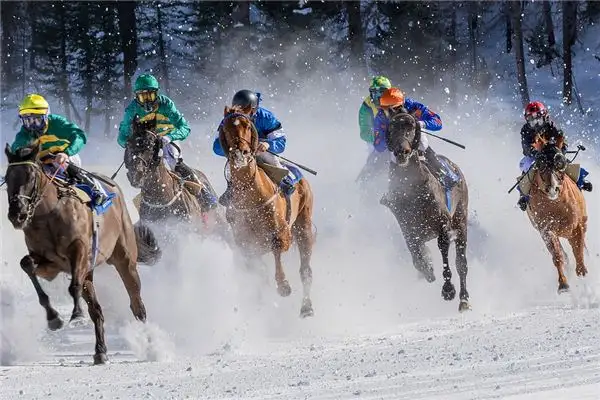 Dream Interpretation Racing Against Many People in a Horse Race NuvoraDream - DreamDecode-DreamDecode