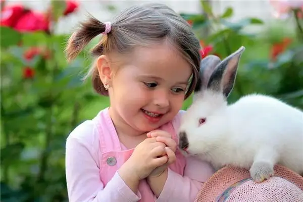 Dream Interpretation Bringing a Rabbit to You Meaning - DreamDecode-DreamDecode