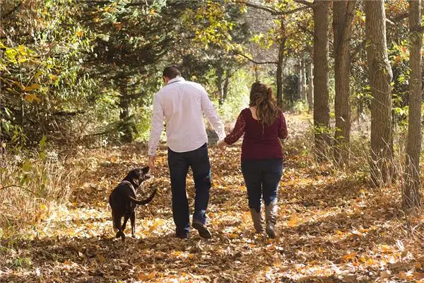 Dream Interpretation Walking a Big Dog Meaning and Symbolism - DreamDecode-DreamDecode