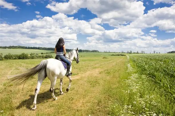 Dream Interpretation Riding a Horse in Your Sleep Meaning - DreamDecode-DreamDecode