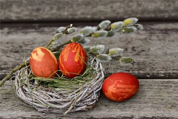 Dream Interpretation of Eggs in Your Sleep NuvoraDream - DreamDecode-DreamDecode