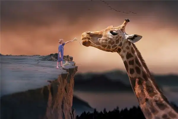 Dreaming of a Giraffe Meaning and Interpretation - NuvoraDream - DreamDecode-DreamDecode