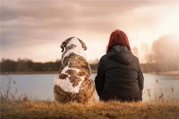 Dreaming of Raising a Dog Meaning and Interpretation - NuvoraDream - DreamDecode-DreamDecode