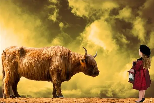 Dreaming of a Bull Calf Meaning and Interpretation - NuvoraDream - DreamDecode-DreamDecode