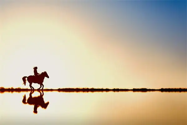 Dream Interpretation Riding a Horse in Your Sleep NuvoraDream - DreamDecode-DreamDecode