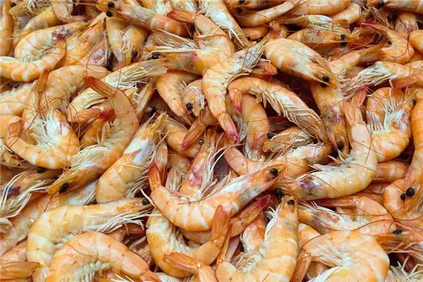 Dreaming of Shrimp Meaning and Interpretation - NuvoraDream - DreamDecode-DreamDecode