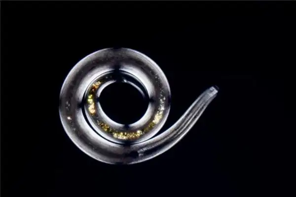 Dream of Worms Meaning and Interpretation - NuvoraDream - DreamDecode-DreamDecode