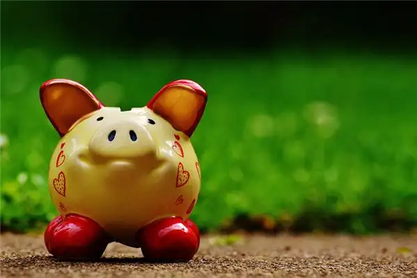 Dream Interpretation Killing a Pig and Seeing Blood Meaning - DreamDecode-DreamDecode