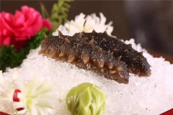 Dream Interpretation of Sea Cucumber Meaning and Symbolism - DreamDecode-DreamDecode