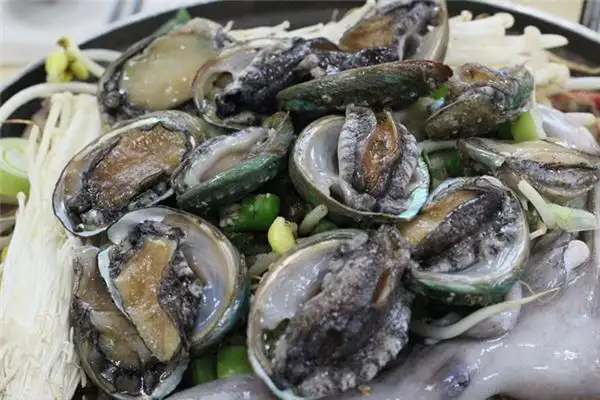 Dream Interpretation of Abalone in Your Sleep - NuvoraDream
