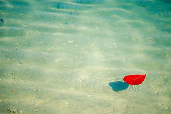 Dream Interpretation Floating in Water NuvoraDream - DreamDecode-DreamDecode