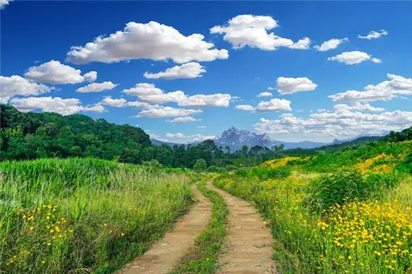 Dream Interpretation of Country Roads in Your Sleep - NuvoraDream - DreamDecode-DreamDecode