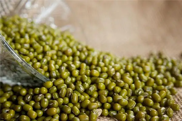 Dreaming of Mung Beans Planting Mung Beans Meaning and Interpretation