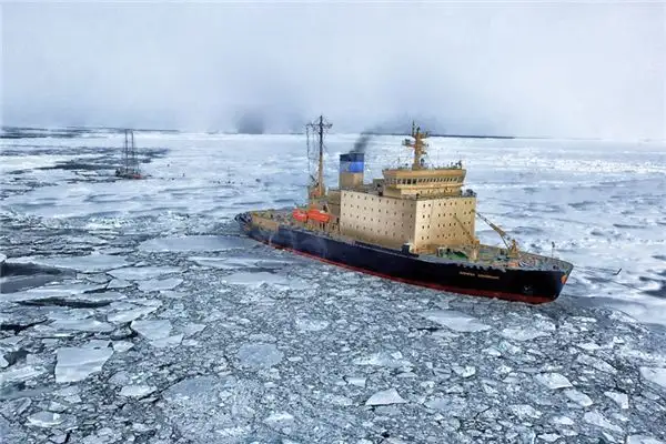 Dreaming of Antarctica Meaning and Interpretation - NuvoraDream-DreamDecode