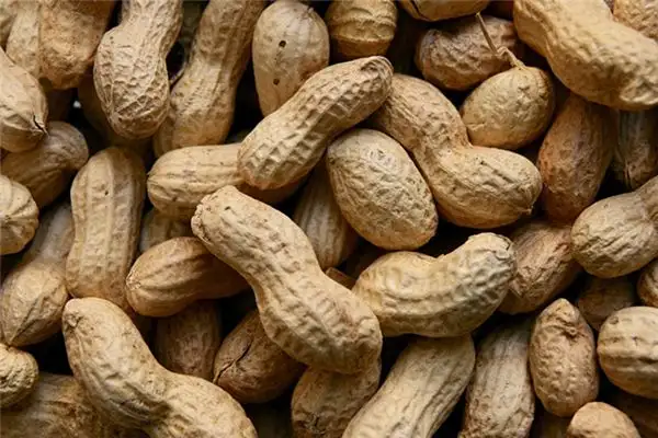 Dream of Peanuts Meaning and Interpretation - NuvoraDream-DreamDecode