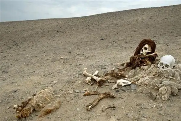 Dream Interpretation of Tomb Raiding in Your Sleep-DreamDecode