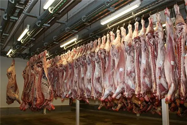 Dream Interpretation of Slaughterhouse in Nuvora Dream-DreamDecode