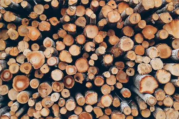 Dream Interpretation Carrying Firewood into House Meaning-DreamDecode