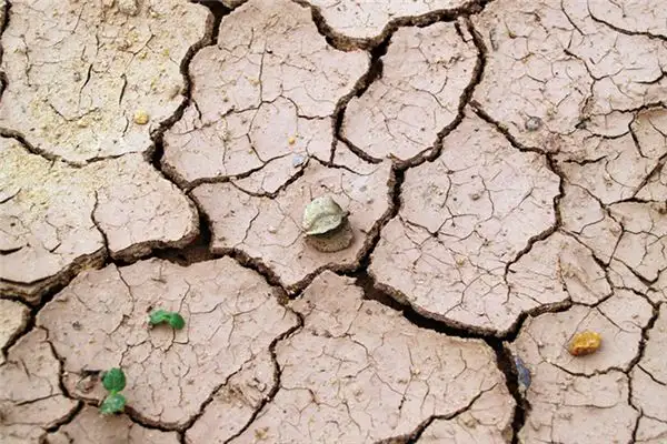 Dream Interpretation of Mud in Your Sleep - NuvoraDream-DreamDecode
