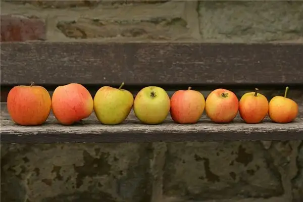 Dream Interpretation of Waiting in Line-DreamDecode