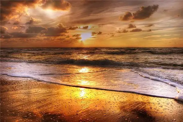 Dream Interpretation of Waves NuvoraDream-DreamDecode