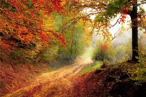 Dreaming of Autumn Meaning and Interpretation - NuvoraDream - DreamDecode-DreamDecode