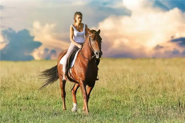 Dream Interpretation Riding a Horse Meaning at NuvoraDream-DreamDecode