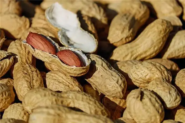 Dreaming of Planting Peanuts Meaning and Interpretation - NuvoraDream-DreamDecode