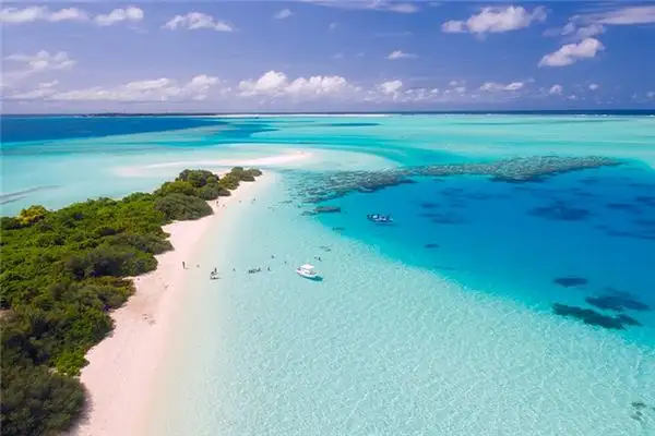 Dream of the Ocean Meaning - NuvoraDream Interpretation-DreamDecode