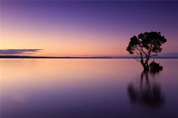 Dream Interpretation of Scenery in Dreams - NuvoraDream-DreamDecode