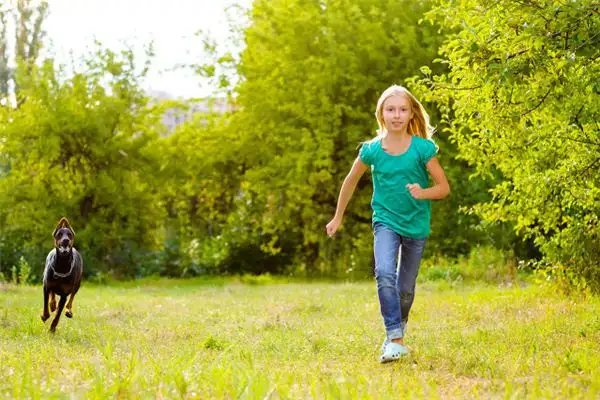 Dream Interpretation of Being Chased or Pursued NuvoraDream-DreamDecode