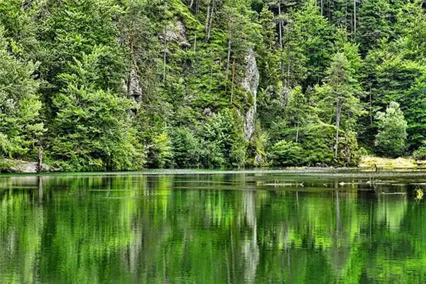 Dream Interpretation of Mountains Forests and Plants in Nuvoradream - DreamDecode-DreamDecode