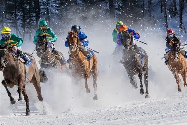 Dream Interpretation Horse Racing Meaning at NuvoraDream-DreamDecode