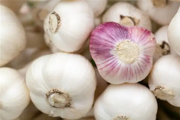 Dream Interpretation Planting Garlic Meaning and Symbolism-DreamDecode