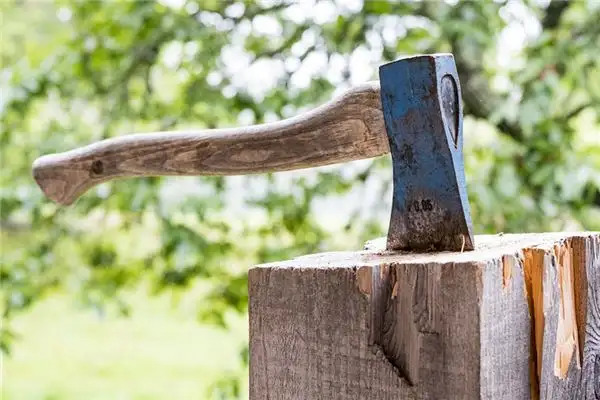 Dream of Chopping Wood Meaning - NuvoraDream Interpretation-DreamDecode