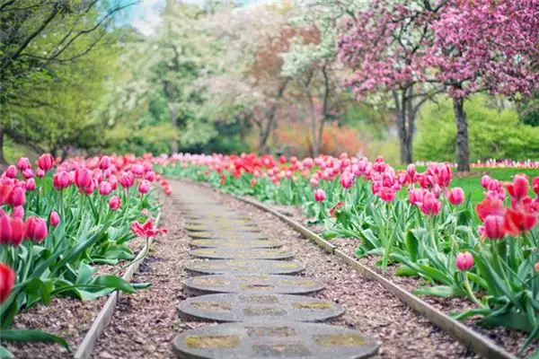Dream Interpretation of Seeing a Garden - NuvoraDream-DreamDecode