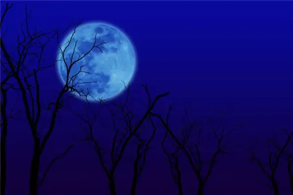 Dream Interpretation Moon on Tree Branch Meaning - NuvoraDream-DreamDecode