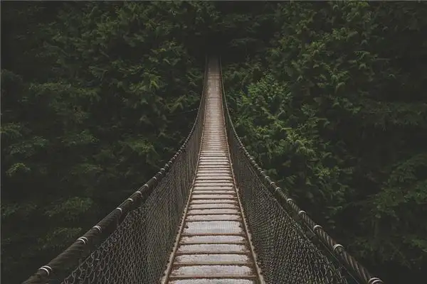Dream Interpretation of a Suspension Bridge in Your Sleep - NuvoraDream-DreamDecode