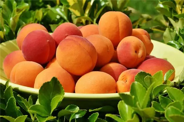 Dream of Apricots Meaning and Interpretation - NuvoraDream-DreamDecode
