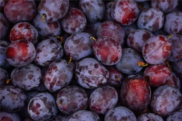 Dream of Sour Plums Meaning - NuvoraDream-DreamDecode