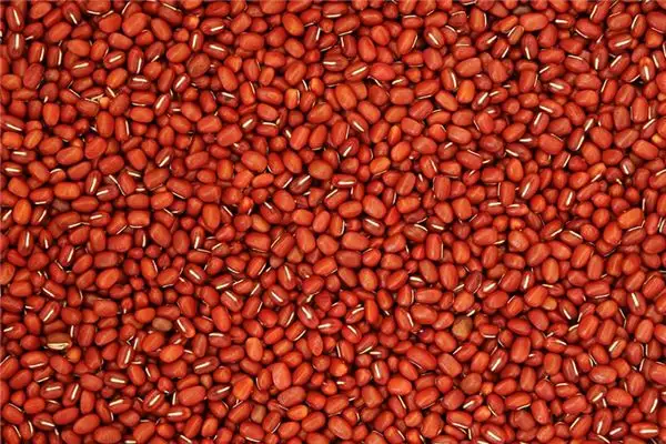 Dream of Red Beans Meaning and Interpretation - NuvoraDream - DreamDecode-DreamDecode