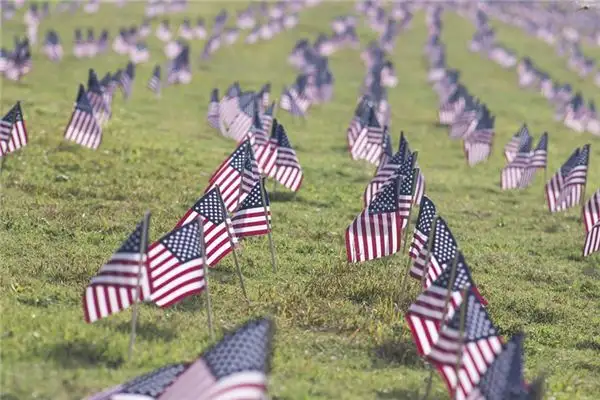 Dreaming of America Meaning and Interpretation - NuvoraDream-DreamDecode